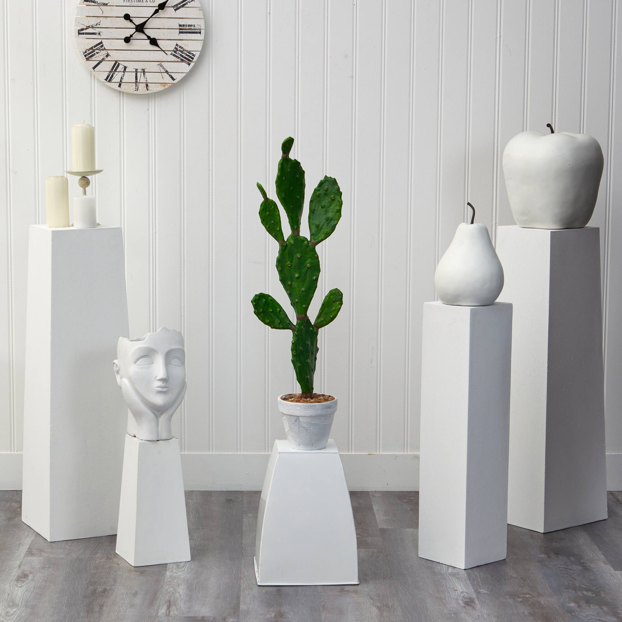 3ft. Cactus Plant in White Planter